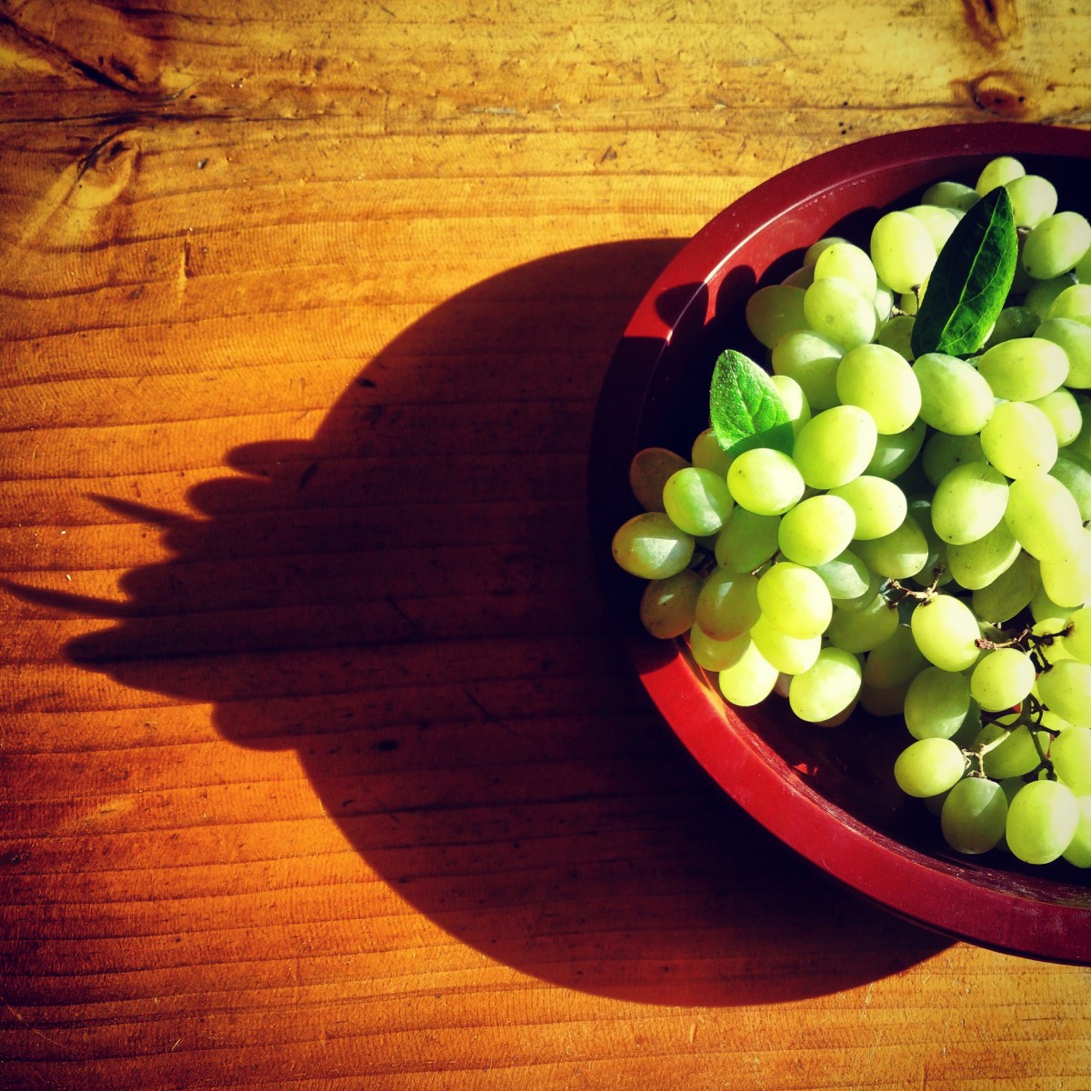 Nourishings